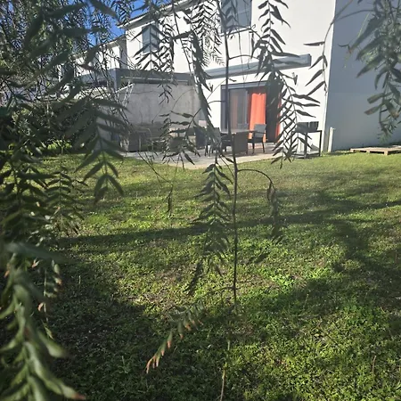 Maison De Vacance En Corse